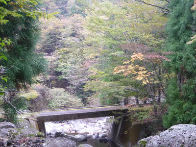 P1010898.jpg (140.3 KiB) 閲覧された回数 5812 回 光谷右俣出合付近