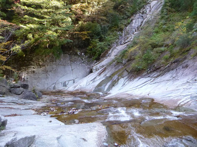 ナメもあります