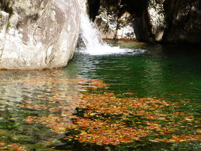 大きな釜を持つ美しい小滝