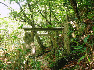 鳥居.JPG (246.74 KiB) 閲覧された回数 5180 回 ● 六根清浄 ザンゲザンゲ、今日も無事に帰れたワン