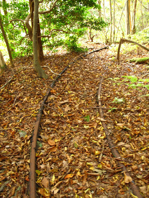 木梶川トロッコ軌道
