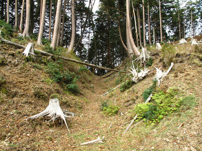 南タワの切通し