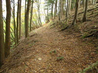 加賀山トロッコ道奈良県側