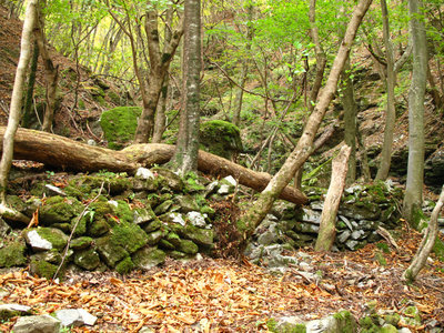 ベニア板工場跡