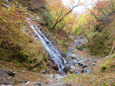 P1020256.jpg (116.46 KiB) 閲覧された回数 6422 回 中滝20m