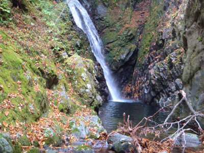 P1020248.jpg (100.68 KiB) 閲覧された回数 6766 回 15m滝