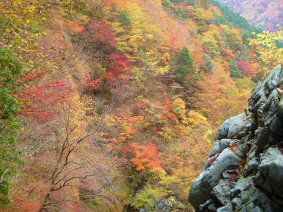 サスケ滝滝口からの紅葉