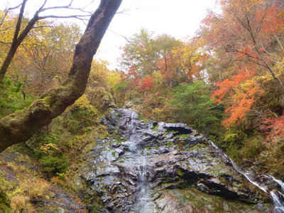 サスケ滝と紅葉
