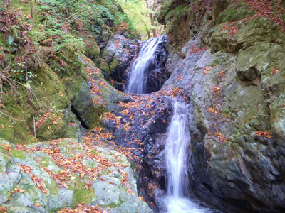 サスケ滝滝口近くの3m、5m連滝