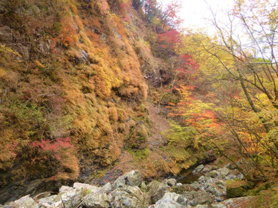サスケ滝近くの紅葉