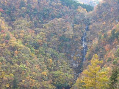 紅葉の布引滝。