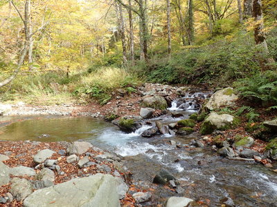 懐かしの小茂津谷出合