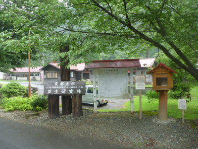 ここが登山口です。
