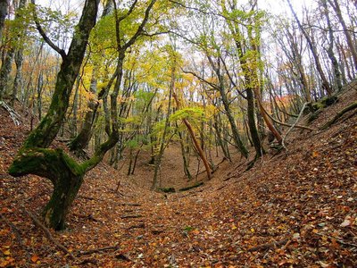 布引尾根にて。