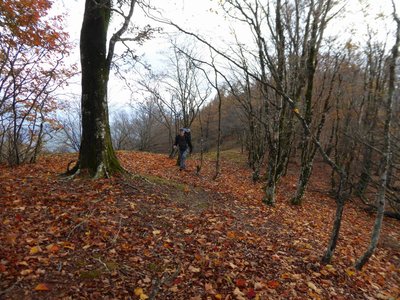 迷岳の西尾根に乗ったところ