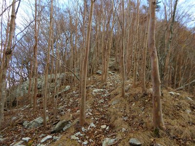 八景山に登り返すところ