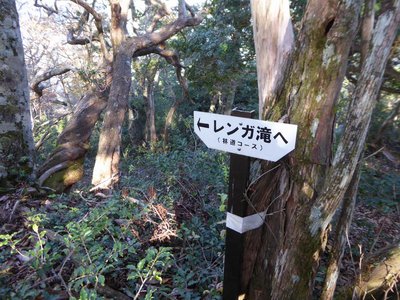 奥芋口からの林道（レンガ滝）コース分岐