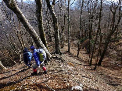 迷岳東尾根を歩く