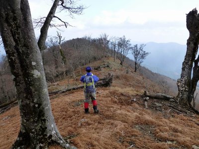 口迷岳に向かって進む