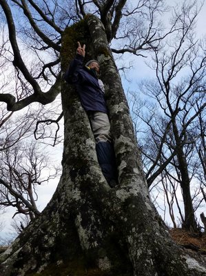 木の虚にはまっているのは誰？