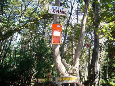 P1070037.JPG (477.4 KiB) 閲覧された回数 6829 回 小野村割岳の赤いポスト