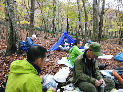 シャープでスリムになりましたね