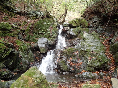 阿蘇谷は結構好きだったりします(^^)