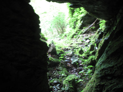 タヌクラの中から