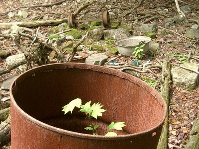 IMGP2422.JPG (262.4 KiB) 閲覧された回数 9649 回 散乱する生活痕