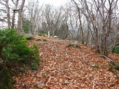 カクレグラ頂上