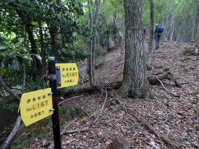 関電の鉄塔を示すL167→R167