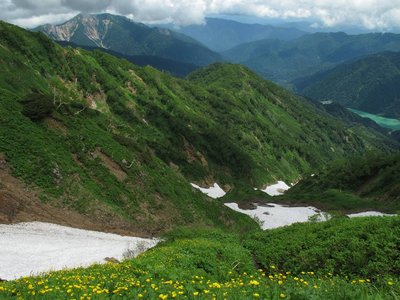 足元には秘密の花園