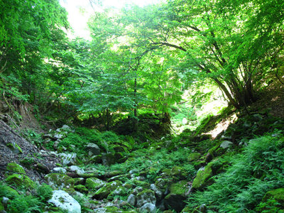 二股の取り付き地点