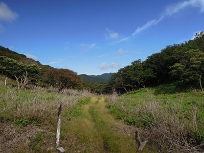 梅雨の明けた中峠