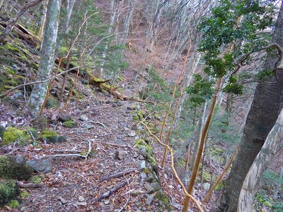 石積みされた岩井軌道。