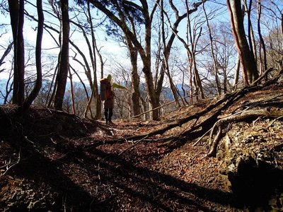 県境稜線１１７０ｍピーク南東尾根の又口道乗っ越し。