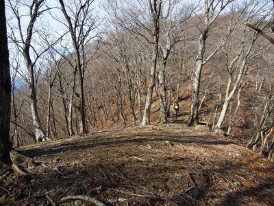 わたしのおもう龍辻（1,210m）。