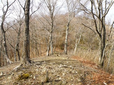 2009年の「龍辻」。