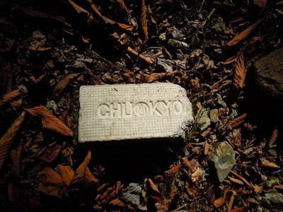 古和谷駅跡にこんな耐火煉瓦があった。<br />レンガはいっぱい残ってはいるけど、なんで耐火煉瓦が必要なのかは不明です。