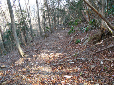 IMG_0642.jpg (927.92 KiB) 閲覧された回数 5854 回 トロッコ道