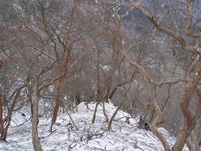 こんな所下りていっても大丈夫なの？