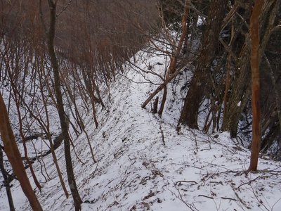 谷と尾根の標高差は5ｍほど