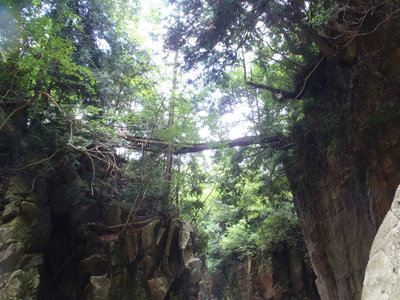 大トロ橋の近況