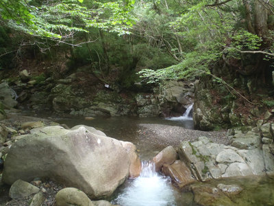 日曜（7/10）のコリカキ場（誰も来ませんでした・・・・多分）