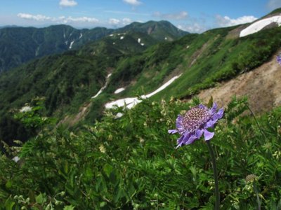 画像中央の雪田がたんぽぽ平だよ～ん