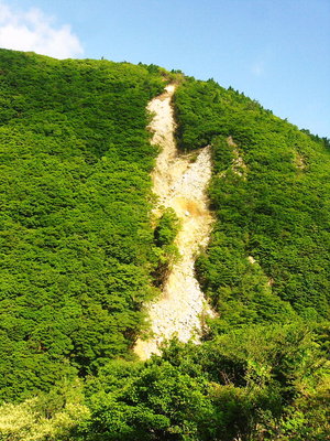 ● 崩落は天辺まで、岩肌がいいゲレンデと読んでるよ