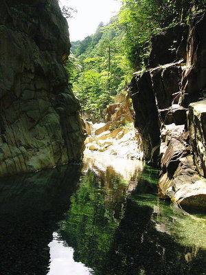 ● すっかり浅くなったトロ