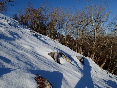 resizeP2073035.jpg (236.74 KiB) 閲覧された回数 6005 回 スノーシュー向きの斜面