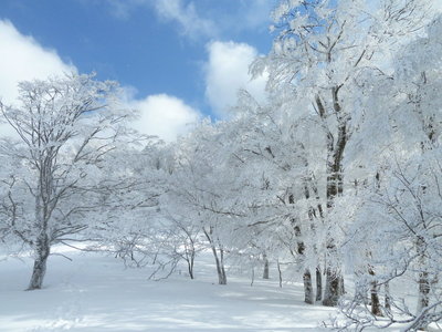 こうでないと天女も舞いませんよね(^^ゞ