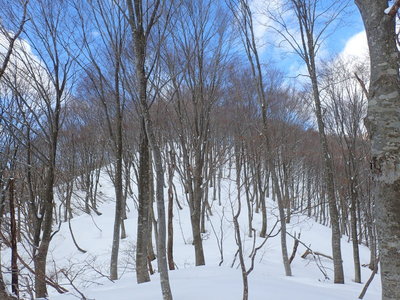 最初からこれならいいんだけど・・・